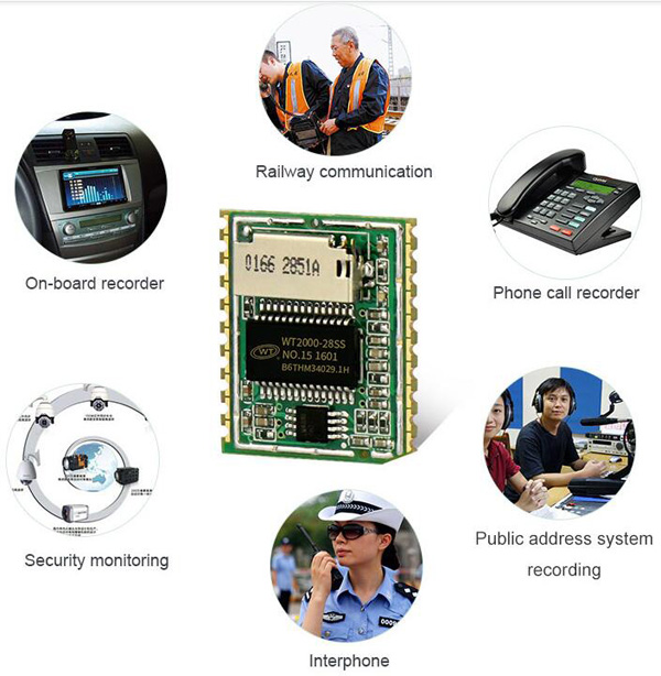 WT2000B02 Voice Record Playback Module