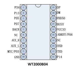 WT2000B04 Recording Sound Module