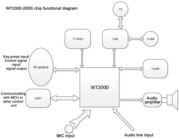 WT2000-28SS Programmable Audio Recording Chip