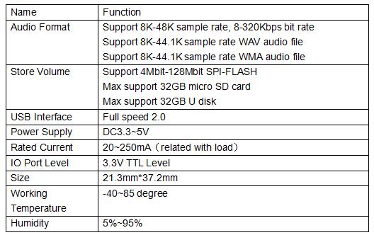 WT2000B03 Voice Playback Module