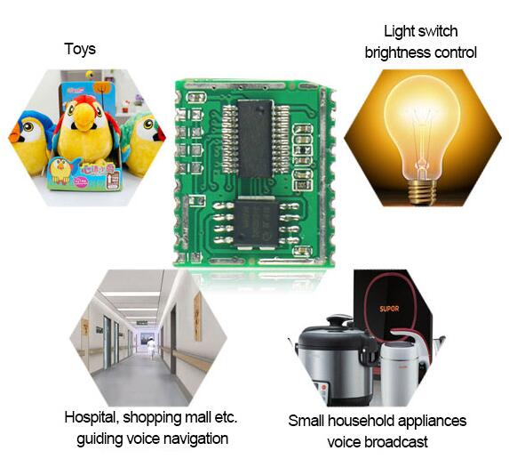 WTK6900B01 Speech Recognition Module