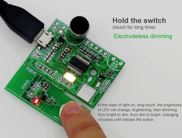 WTK6900M01 Voice Command LED Light Module