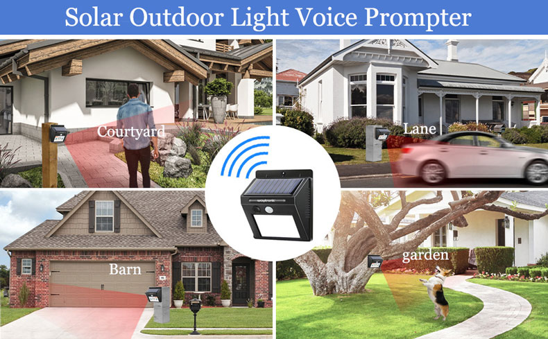 WT-WS1 Solar voice reminder device