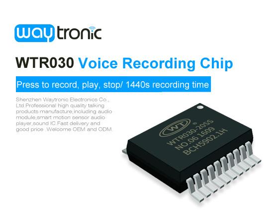 WTR030 Voice Recording Chip