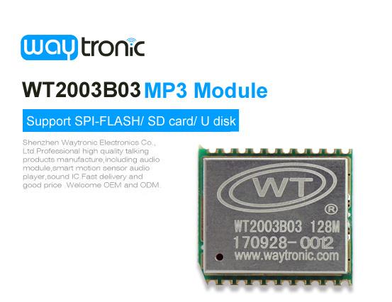 WT2003B03 MP3 Module