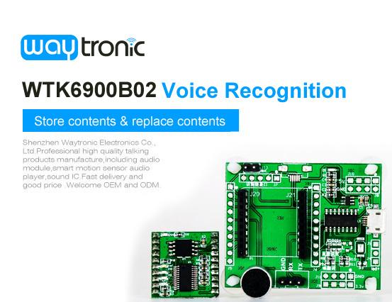 WTK6900B02 Voice Recognition Module